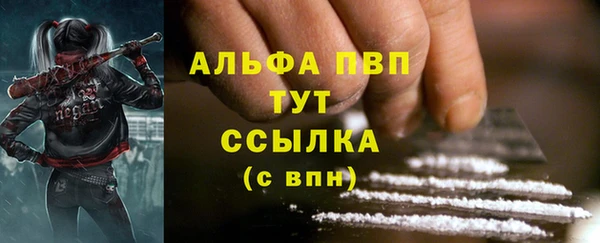 гидра Магас