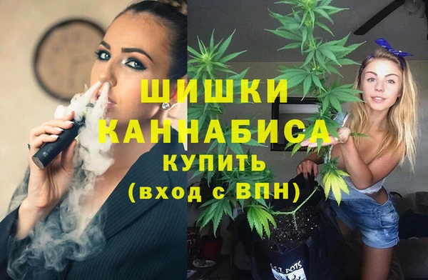 гидра Магас